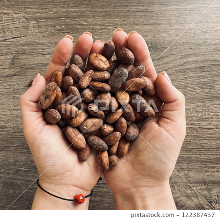 Female hands holding a handful of cocoa beans. Table top view Female hands holding a handful of cocoa beans. Table top view 122387437