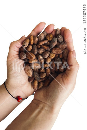 Isolated female hands holding a handful of cocoa beans. Table top view. 122387486