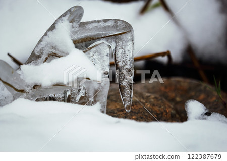 Ice covered reeds with broken tip and frozen thick layer of ice surrounded by snow with visible ice texture inside Ice covered reeds with broken tip and frozen thick layer of ice surrounded by snow with visible ice texture inside 122387679