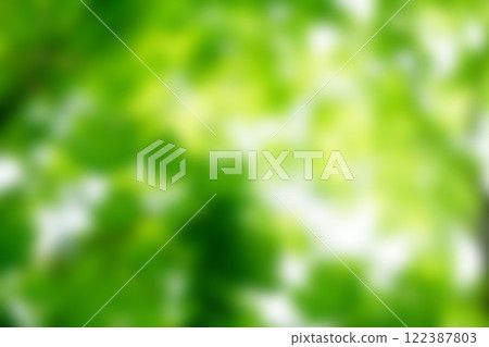 Green bokeh background and sunlight Green bokeh background and sunlight 122387803