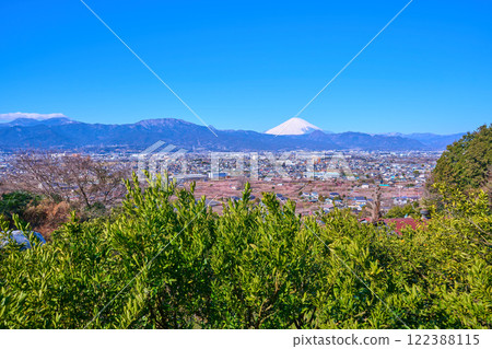 神奈川縣小田原市曾我別所景觀(小田原市、富士山、櫓山、曾我梅林等) 神奈川縣小田原市曾我別所景觀(小田原市、富士山、櫓山、曾我梅林等) 122388115