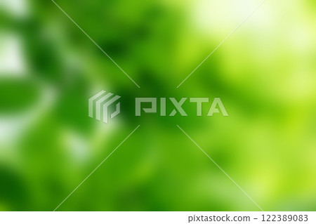 Green bokeh background and sunlight 122389083
