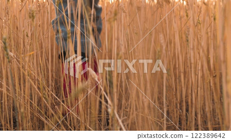 agriculture. a field of wheat on a farm. children's feet in rubber boots to walk around the farm. Nature in the open air. A child in rubber boots walks through a field of wheat of agriculture. rubber agriculture. a field of wheat on a farm. children's feet in rubber boots to walk around the farm. Nature in the open air. A child in rubber boots walks through a field of wheat of agriculture. rubber 122389642