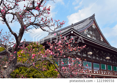 紅梅映照下的智積院 122390558