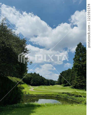 A tee shot under the pressure of the pond on a sunny day 122391574