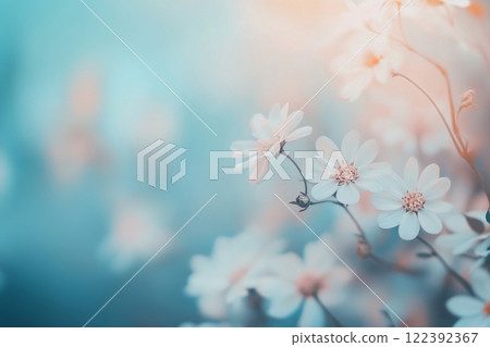 Meadow with wild flowers in the sunny summer day. Soft pastel background Meadow with wild flowers in the sunny summer day. Soft pastel background 122392367