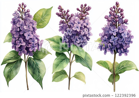 Spring lilac flowers Spring lilac flowers 122392396