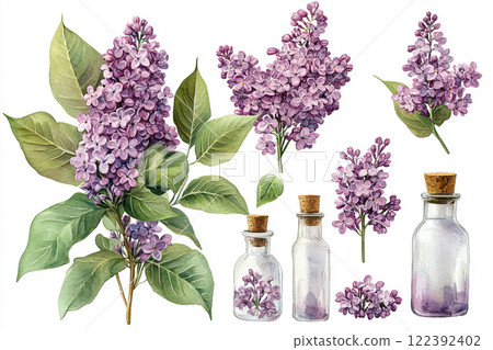 Spring lilac flowers 122392402