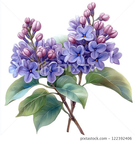 Spring lilac flowers Spring lilac flowers 122392406