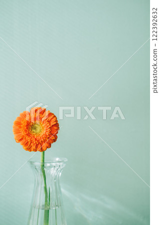 玻璃瓶中的一朵橘色大丁草，淺藍色背景 122392632