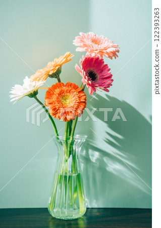 玻璃瓶中的彩色非洲菊，淺藍色背景 122393263