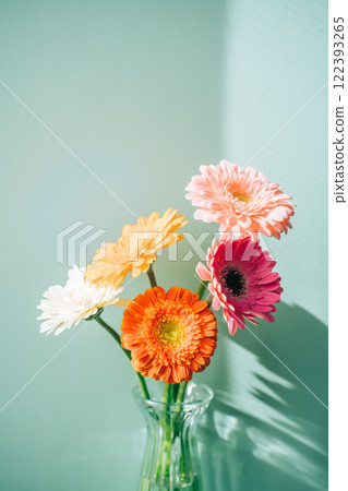 Colorful gerberas in a glass jar on a light blue background Colorful gerberas in a glass jar on a light blue background 122393265