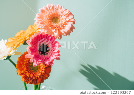 玻璃瓶中的彩色非洲菊，淺藍色背景 122393267