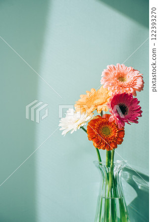 玻璃瓶中的彩色非洲菊，淺藍色背景 122393270