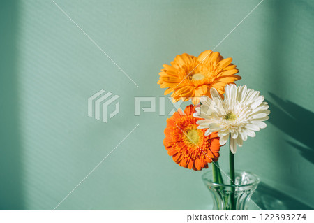 橙色譜系排列在花瓶中,非洲菊排列在三花瓶中 橙色譜系排列在花瓶中,非洲菊排列在三花瓶中 122393274