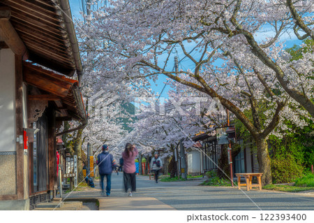 Spring in Shinjo-juku: Cherry blossoms in full bloom 42 Shinjo Village, Maniwa District, Okayama Prefecture 122393400