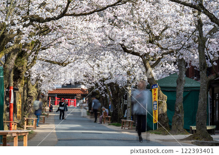 春天的新條宿，41株外山櫻花盛開，岡山縣真庭郡新條村 122393401