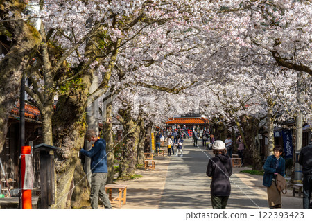 Spring in Shinjo-juku: Nogaisen cherry blossoms in full bloom 24 Shinjo Village, Maniwa District, Okayama Prefecture 122393423