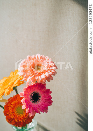 A vase of gerberas on the wall 122393478