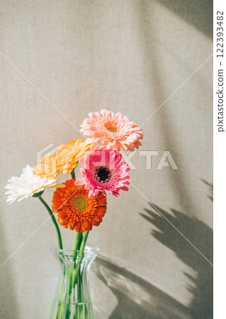 牆上的非洲菊花瓶 122393482