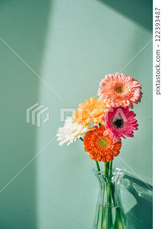 玻璃瓶中的彩色非洲菊，淺藍色背景 122393487