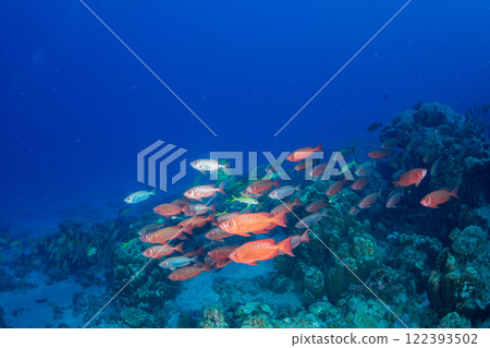 金色宜必思小笠原酒店群 122393502