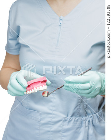 Dentist examine teeth from layout of the human jaw Dentist examine teeth from layout of the human jaw 122393588