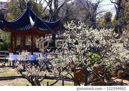 水月公園西鳳亭附近梅花盛開(大阪府池田市) 水月公園西鳳亭附近梅花盛開(大阪府池田市) 122394662