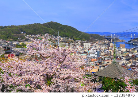 [廣島縣]櫻花盛開的天寧寺（三層寶塔）和尾道的街道 122394970