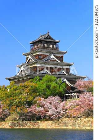 [Hiroshima Prefecture] The castle tower of Hiroshima Castle with cherry blossoms in full bloom 122394975