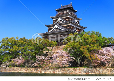 [Hiroshima Prefecture] The castle tower of Hiroshima Castle with cherry blossoms in full bloom 122394976