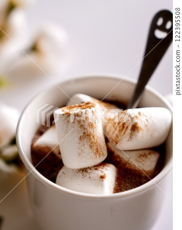 Cocoa and marshmallow topping 122395508