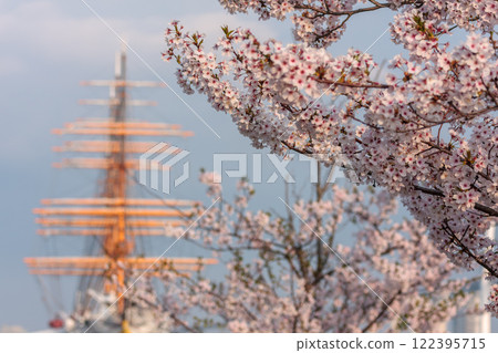 （富山展望台）櫻花與海王丸公園 4月 122395715