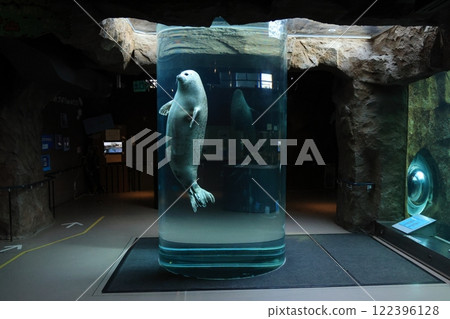 Asahiyama Zoo Seal House Cylindrical Tank Asahiyama Zoo Seal House Cylindrical Tank 122396128
