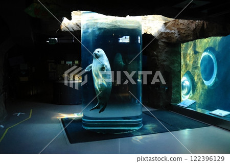 旭山動物園海豹館圓筒水族館 旭山動物園海豹館圓筒水族館 122396129