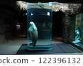 旭山動物園海豹館圓筒水族館 122396132