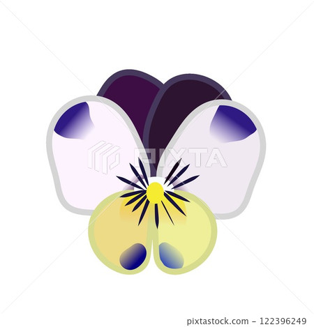 Pansy illustration Pansy illustration 122396249