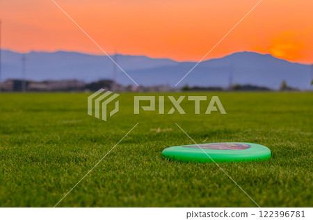 A flying disc in a park 122396781