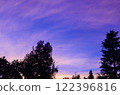 Tree silhouettes and gradient sky 122396816