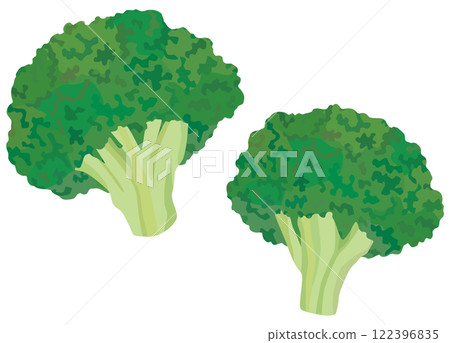 簡單的青花菜插畫向量素材 簡單的青花菜插畫向量素材 122396835