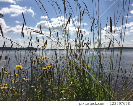 A Beautiful and Tranquil Lakeside View Surrounded by Wildflowers and Vibrant Grasses A Beautiful and Tranquil Lakeside View Surrounded by Wildflowers and Vibrant Grasses 122397698