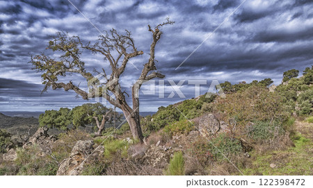 Protected Landscape Monte Valcorchero y Sierra del Gordo, Caceres, Spain 122398472