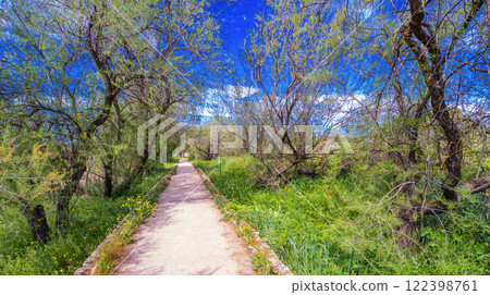 Tamarisk, Tablas de Daimiel National Park, Spain 122398761