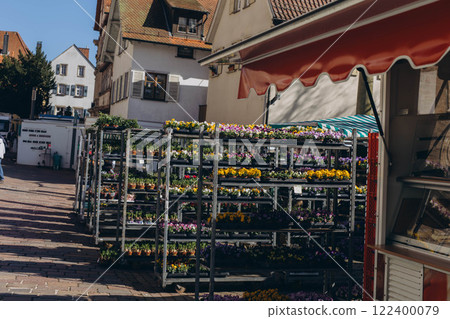A spring market with rows of seedlings and flowers for the garden, offering vibrant plants for sale 122400079