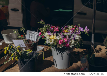 A spring market with rows of seedlings and flowers for the garden, offering vibrant plants for sale 122400102