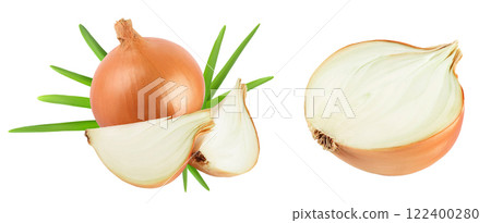 yellow onion isolated on white background close up yellow onion isolated on white background close up 122400280