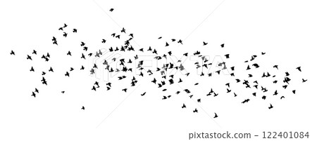 Flying birds silhouette flock. hand drawing. Not AI. Vector illustration 122401084
