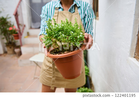 Person holding a terra cotta pot with a thriving green potted plant Person holding a terra cotta pot with a thriving green potted plant 122401195