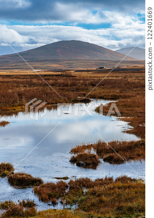 Typical autumn lowland landscape on the west coast of Iceland 122401669