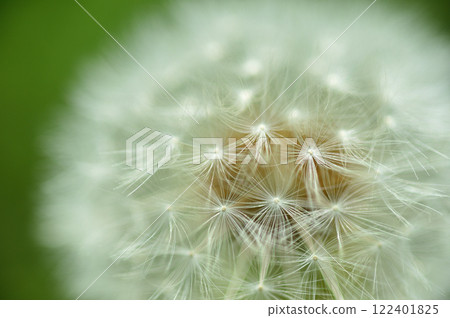 一大早看到的那頂棉帽 122401825